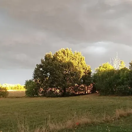 アパート Charmant Studio Avec Jardin A La Campagne Sur Le Chemin De Saint Jacques De Compostelle *
